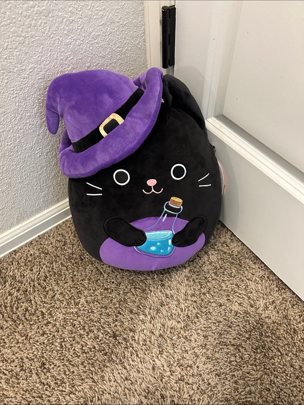 NWT Autumn Squishmallows Black Cat Plush with Purple Witch Hat
